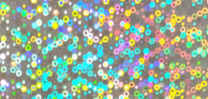 #500 Rainbow Dots