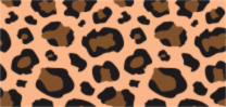 #801 Leopard