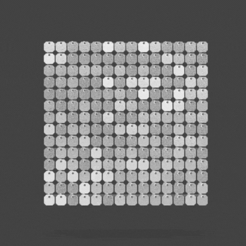 
                      
                        #599 Sparkling Silver
                      
                    