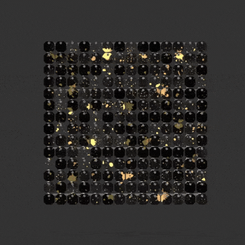 
                      
                        #37/47 Black/Gold
                      
                    