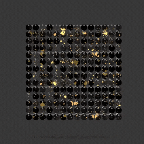 
                      
                        #37/47 Black/Gold
                      
                    