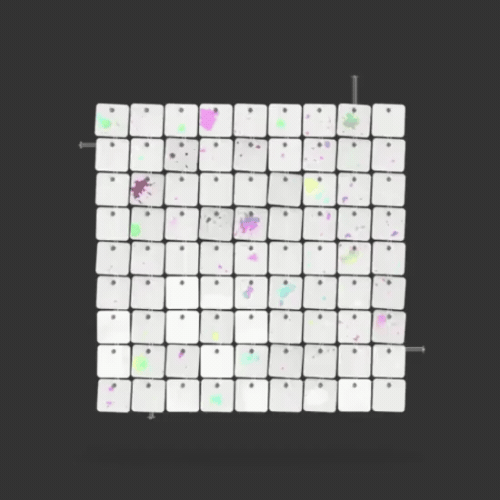 
                      
                        #90/100 White/Rainbow
                      
                    