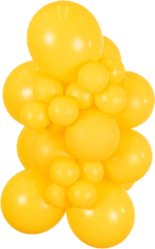 Standard Amber Kalisan balloon cluster