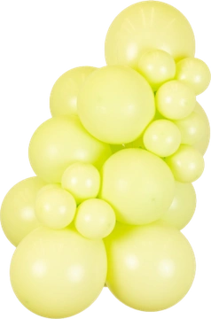 Macaron Pistachio Kalisan balloon cluster