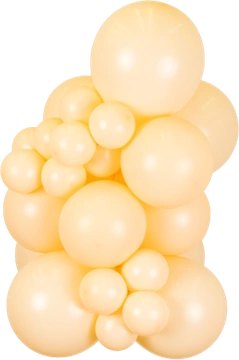 Macaron Salmon Kalisan balloon cluster