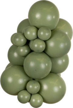 Retro Eucalyptus Kalisan balloon cluster