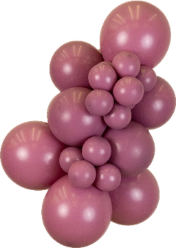 Retro Wild Berry Kalisan balloon cluster